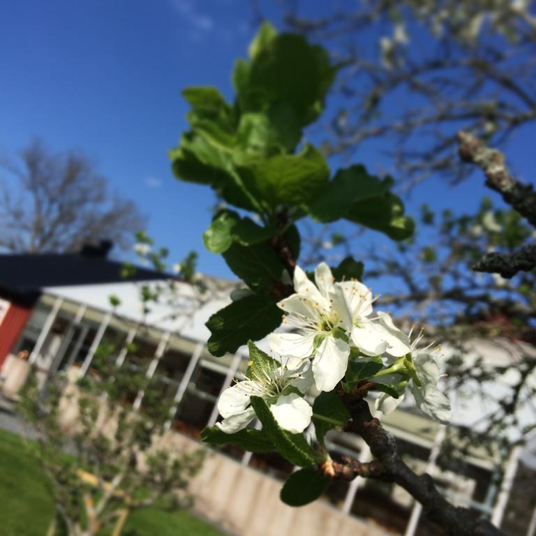 Narebo Gardshotell Lidköping Esterno foto